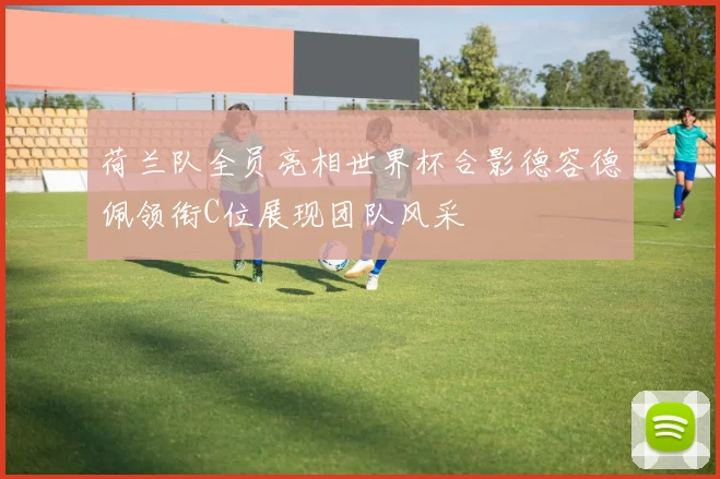 荷兰队全员亮相世界杯合影德容德佩领衔C位展现团队风采